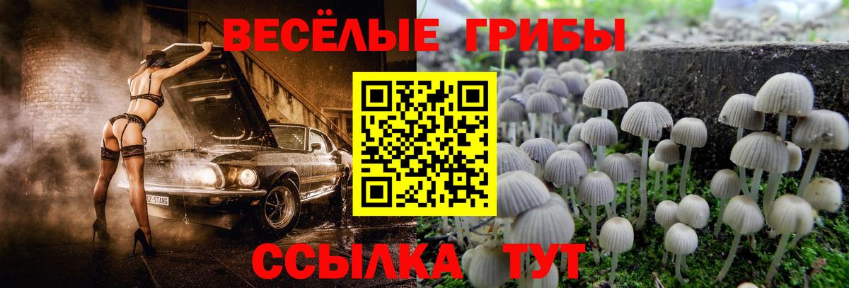 Галлюциногенные грибы Magic Shrooms  Вход с VPN  Кумертау 